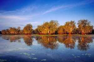 Yellow Water
