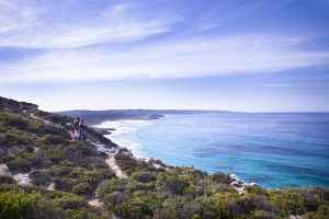 Clifftop Walk