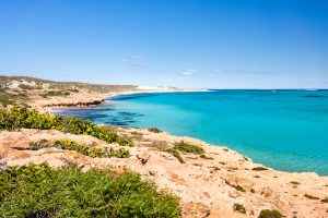Coral Bay