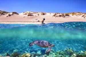 Ningaloo Reef