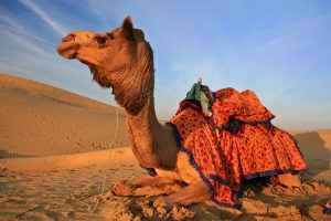 Morocco