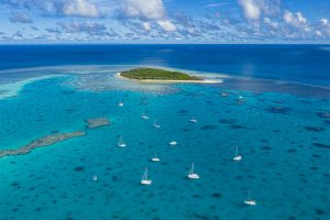 Lady Musgrave - explore the famous great barrier reef – luxury short breaks on a private aircraft