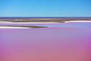 Lake Eyre - pink with algae bloom - Luxury Private Australian Air Tour