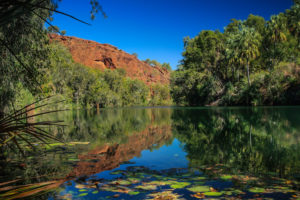 Lawn Hill National Park - an oasis in the outback - Luxury Private Australian Air Tour