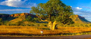 El Questro - Cockburn Range - private air tour Australia