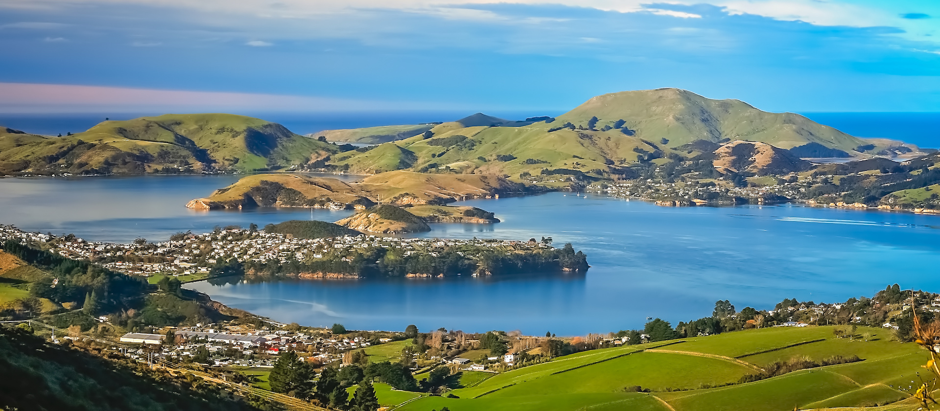 Dunedin & Central Otago Discovery