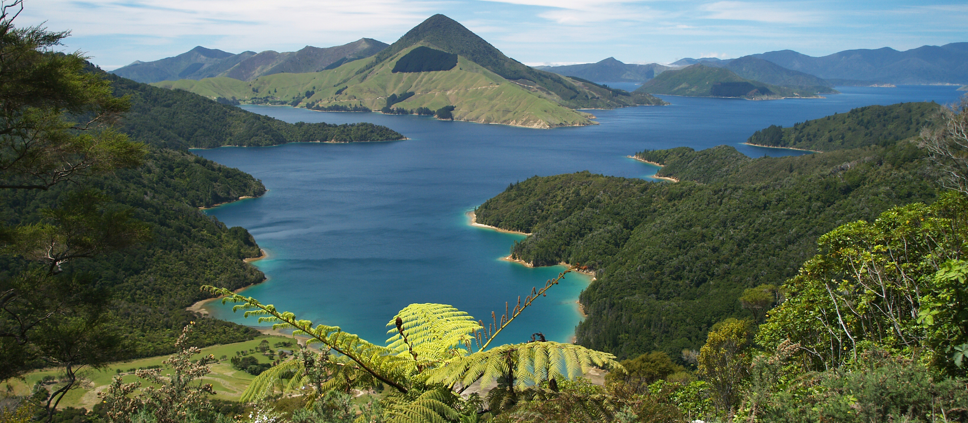 New Zealand Coastal Explorer