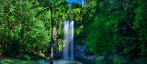 Millaa Millaa Falls - Far North Queensland - Luxury Short Break
