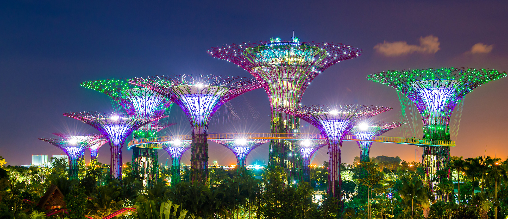 Singapore & the 2024 Orchid & Garden Festival
