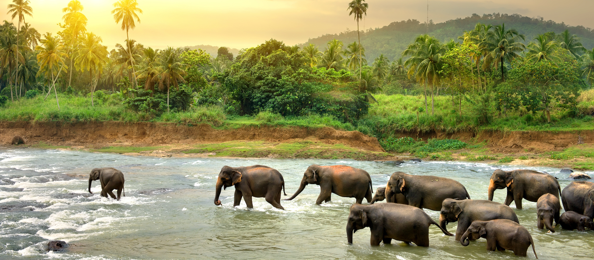 The Wonders of Sri Lanka