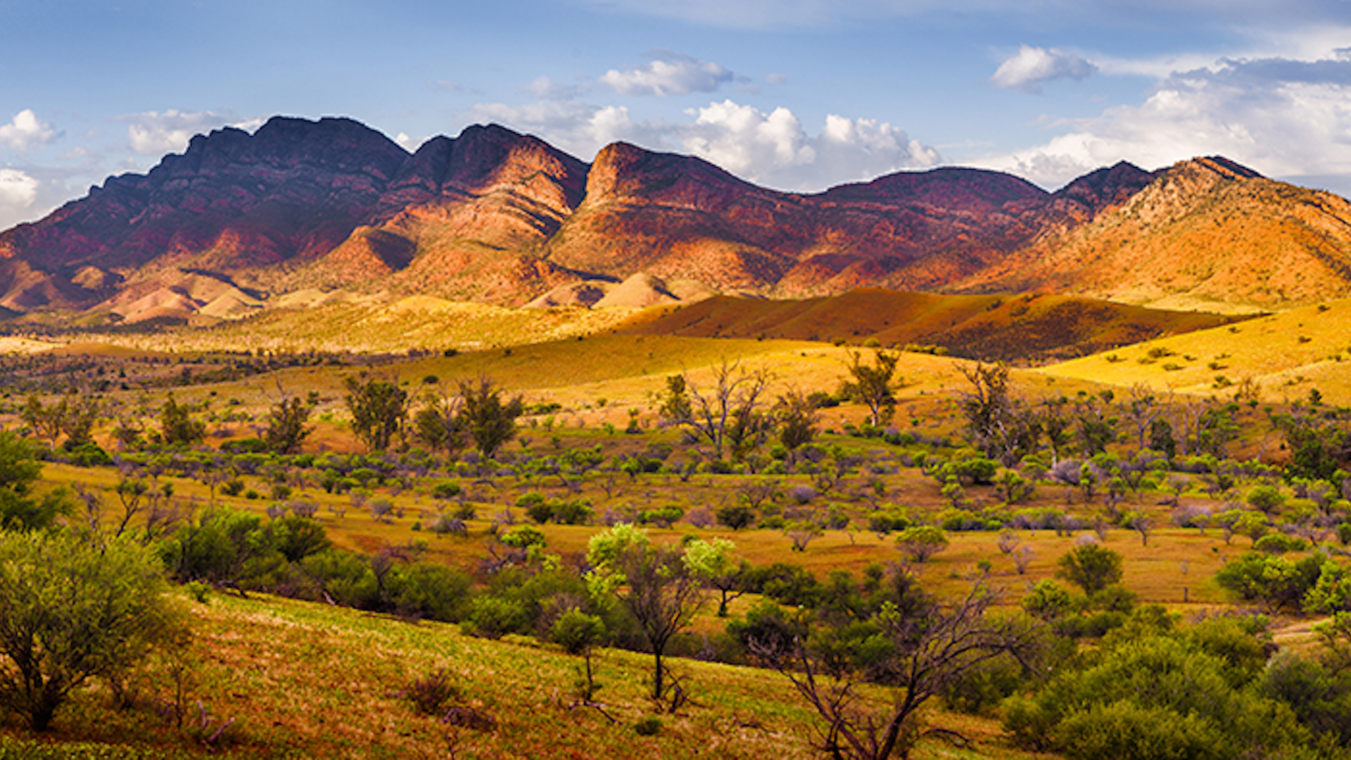 Flinders Ranges and Beyond Private Air Tour Bill Peach Journeys