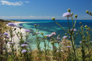 Rottnest Island