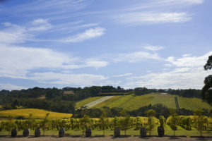 Mornington Peninsula - winery views - luxury short break