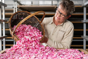 McLaren Vale - lady with a basket of rose petals at Jurlique Farm - luxury short break South Australia