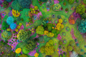 Mount Lofty - aerial shot of the colours of Mount Lofty Botanic Gardens - Bill Peach Journeys