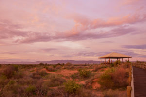 Port Augusta – Australian Arid Lands Botanic Garden – Luxury short breaks