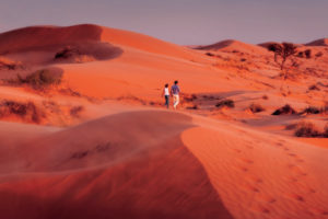 Big Red Sand Dunes – walking over the sand dunes at sunset – Bill Peach Journeys