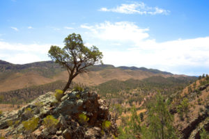 Flinders Ranges – ancient and rugged Brachina Gorge – Outback Australia Flinders Ranges