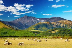 New Zealand - country side surrounded by mountains - Luxury solo tours