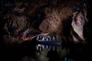 Te Anau - glowworm cave boat tour - Luxury solo tours