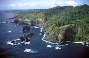 Norfolk Island - Pine tree forests - Luxury Short Break