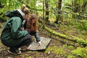 Tasmania - learning about flora and fauna - luxury short breaks Tasmania