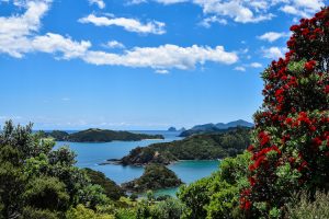 Bay of Islands - 144 islands on the East Coast of Far North District - Luxury solo tours