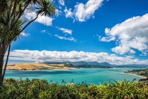 Hokianga Harbour - views over the harbour - Luxury solo tours