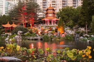 Lily pond in the Chinese Garden of Friendship, Darling Harbour - Bill Peach Journeys