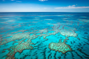 Great Barrier Reef - Aerial View over the reef - Bill Peach Journeys