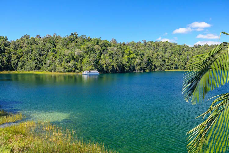 lake barrine boat cruises