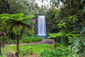 Tropical North Queensland - Millaa Millaa Falls - Bill Peach Journeys