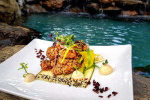 Far North Queensland - Chicken karaage at Ospreys, Thala Beach Nature Reserve - Bill Peach Journeys
