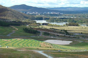 Canberra - National Arboretum, new trees growing - solo tours