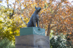 Dog on Tuckerbox - Gundagai - Bill Peach Journeys