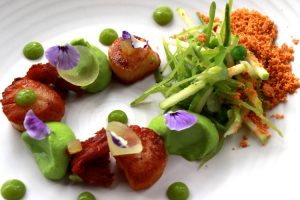 South Island - enjoy gourmet seafood - Luxury solo tours