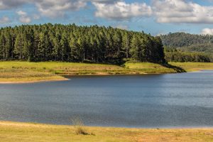 Tinaroo - Lake Barrine - Luxury short breaks Queensland