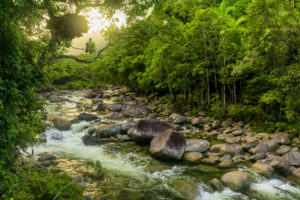 Mossman Gorge - river in Daintree National Park - Luxury Queensland Short Break