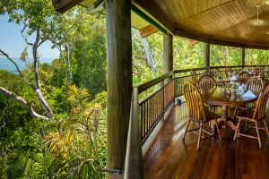 Thala Beach Nature Reserve - Osprey's restaurant overlooking the rainforest - Luxury solo tours