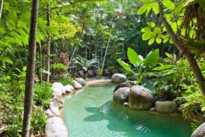 Silky Oaks Lodge - Swimming pool - Bill Peach Journeys