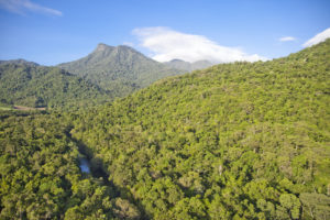 Silky Oaks Lodge - view of Mount Demi - Bill Peach Journeys
