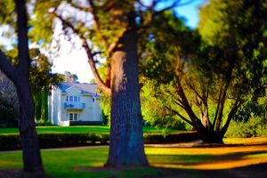 Margaret River - country house among the trees - Luxury short breaks Western Australia