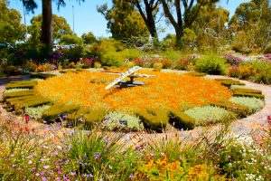 Perth - Flower clock in Kings Park - Luxury short breaks Western Australia